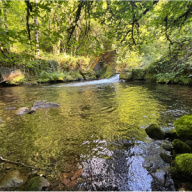 12 Steps to return to Yourself